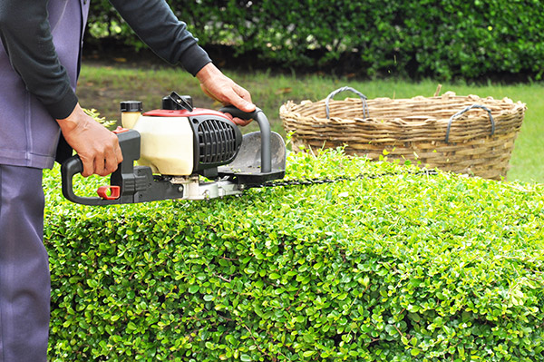 Giarc Homes regina does yard maintenance